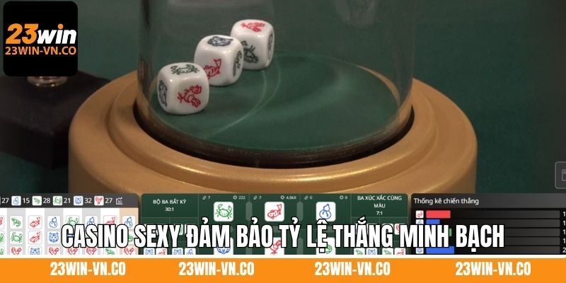 Casino Sexy đảm bảo tỷ lệ thắng minh bạch cho người chơi