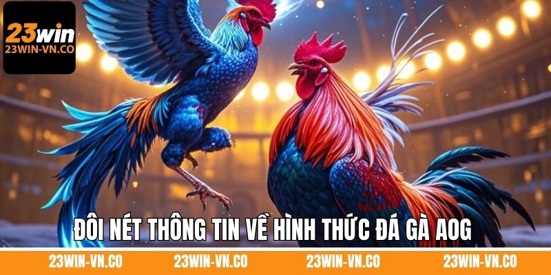 Đá Gà AOG – Trải Nghiệm Giải Trí Đỉnh Cao Tại 23WIN 2 Đôi nét thông tin về hình thức đá gà AOG