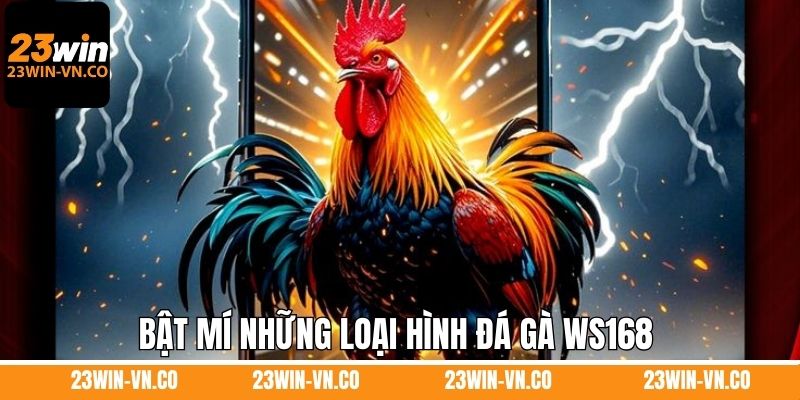 Đá Gà WS168 – Mang Đến Những Trận Đấu Mãn Nhãn Tại 23Win 4 Bật mí những loại hình đá gà WS168 được ưa chuộng hàng đầu