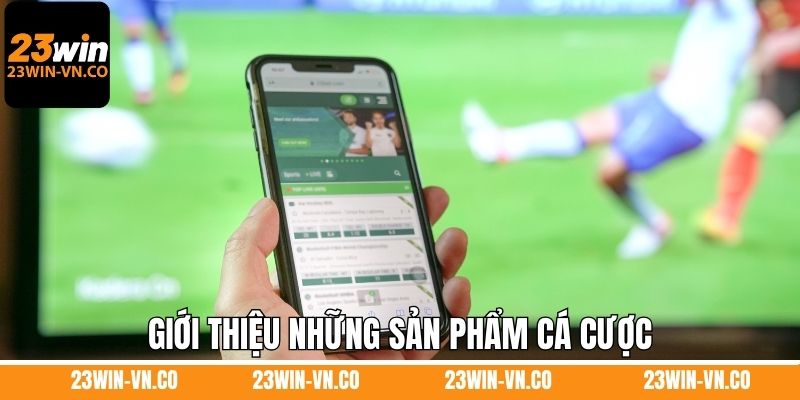 Giới thiệu những sản phẩm cá cược do nhà cái cung cấp
