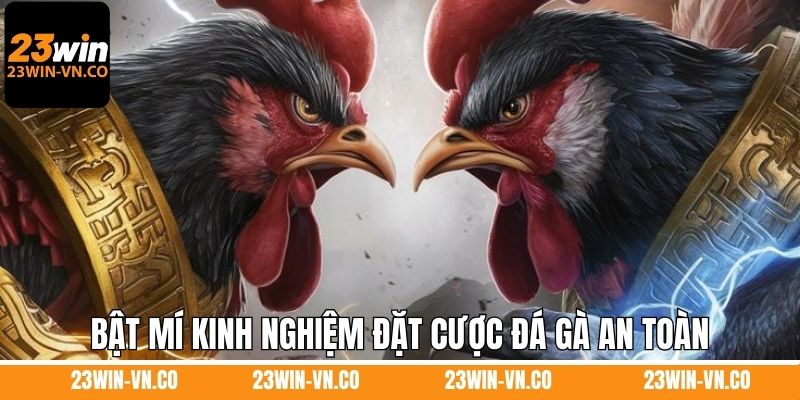 ICF Đá Gà 23Win – Điểm Hẹn Của Những Trận Đấu Kịch Tính 4 Bật mí kinh nghiệm đặt cược đá gà an toàn cho anh em