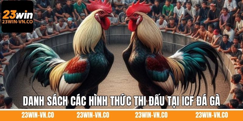 ICF Đá Gà 23Win – Điểm Hẹn Của Những Trận Đấu Kịch Tính 3 Danh sách các hình thức thi đấu được yêu thích tại ICF đá gà