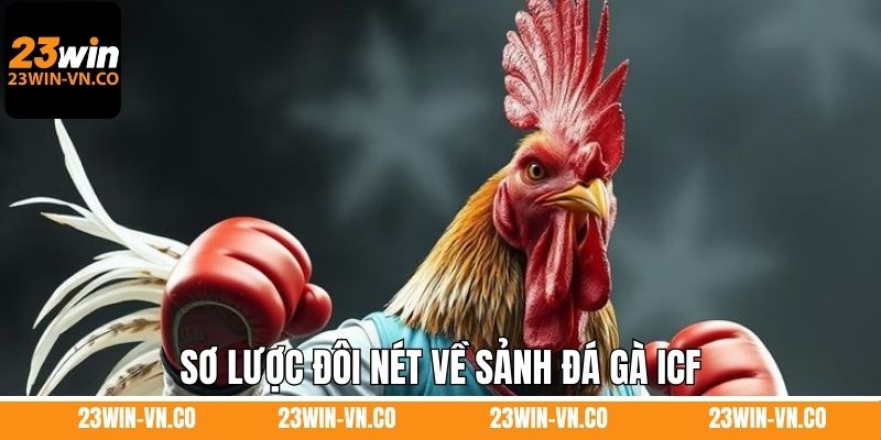 ICF Đá Gà 23Win – Điểm Hẹn Của Những Trận Đấu Kịch Tính 2 Sơ lược đôi nét về sảnh đá gà ICF