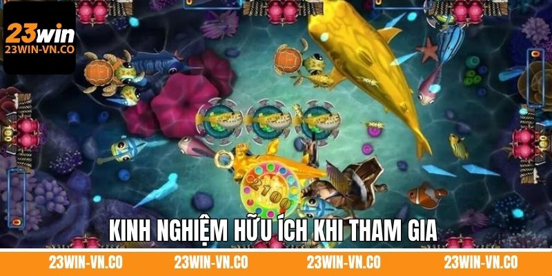 RTG Bắn Cá - Thiên Đường Giải Trí Tuyệt Vời Săn Thưởng 23Win 5 Kinh nghiệm hữu ích khi tham gia vào sảnh RTG bắn cá tại 32Win