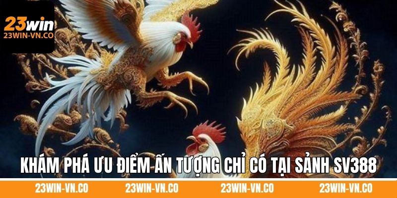 SV388 Đá Gà - Sảnh Cược Uy Tín, Xanh Chín Số 1 Tại 23Win 4 Khám phá ưu điểm ấn tượng chỉ có tại sảnh SV388