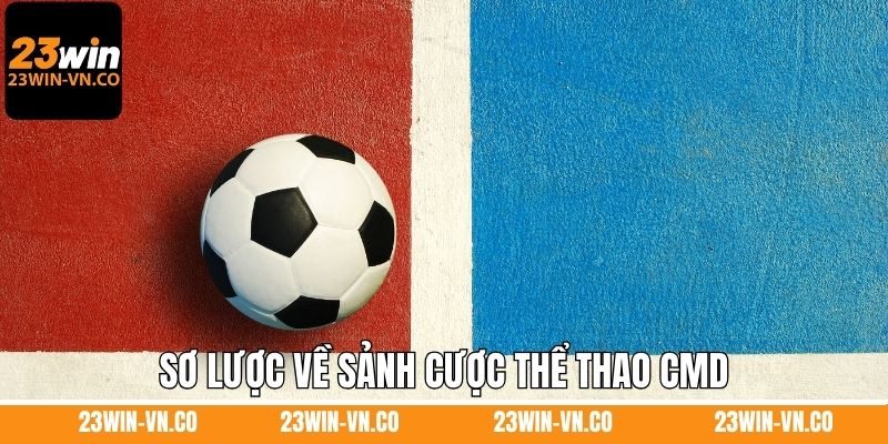 Sơ lược về sảnh cược thể thao CMD