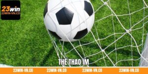 Thể Thao IM – Không Gian Giải Trí Có 1 Không 2 Tại 23Win