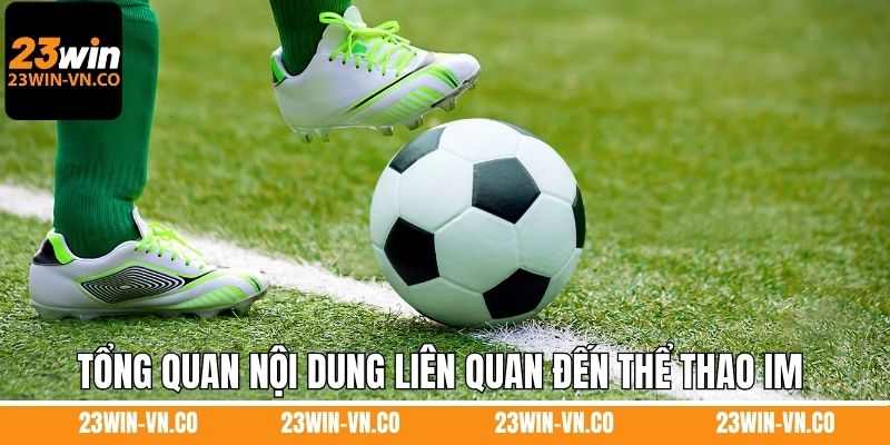 Khám phá tổng quan nội dung liên quan đến thể thao IM 