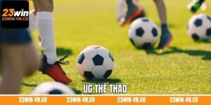 UG Thể Thao – Không Gian Cá Cược Cho Người Đam Mê Tại 23WIN