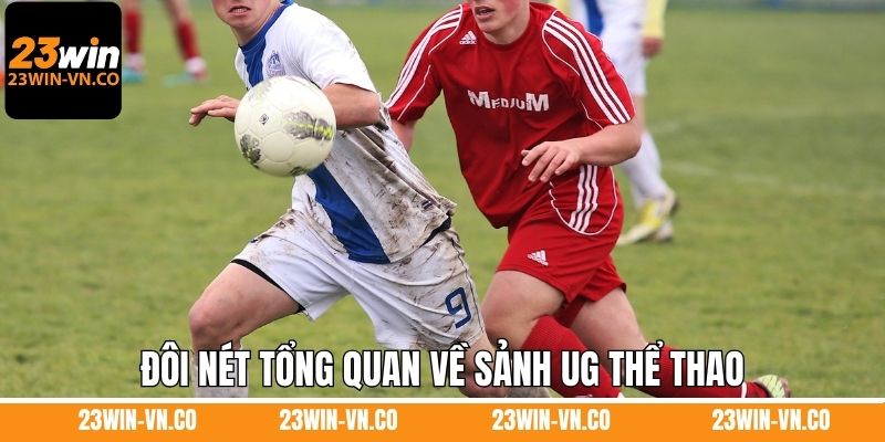 UG Thể Thao – Không Gian Cá Cược Cho Người Đam Mê Tại 23WIN 2 Đôi nét tổng quan về sảnh UG thể thao